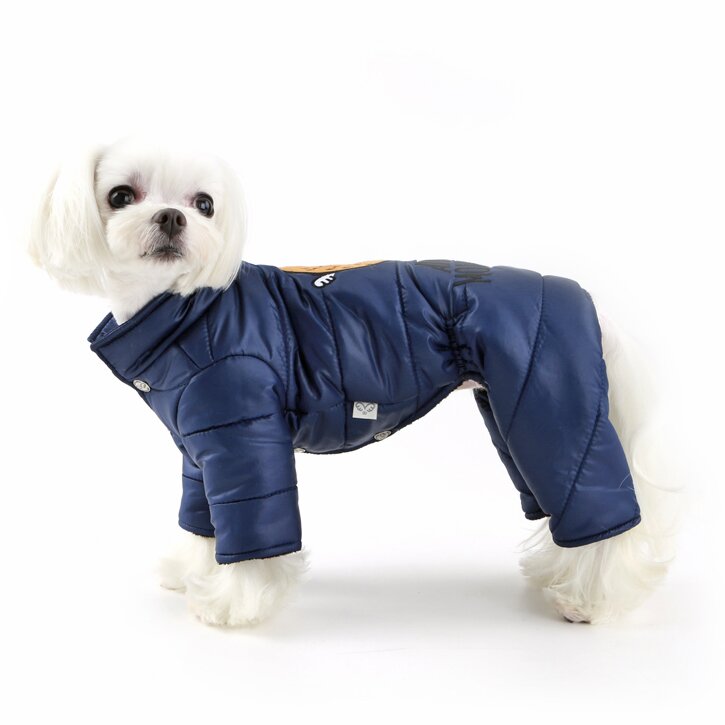 Комбінезон для собак Puppy Angel «Angel Monster» S