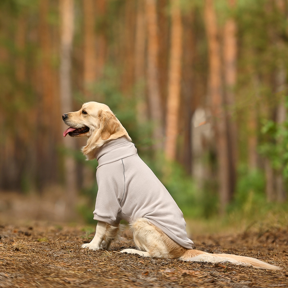 Світшот для собак Noble Pet Frederick Beige S - бежевий