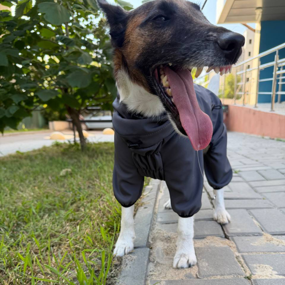Комбінезон для собак Noble Pet Softshell Marvin Grey M - сірий