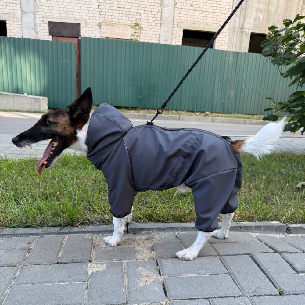 Комбінезон для собак Noble Pet Softshell Marvin Grey L - сірий
