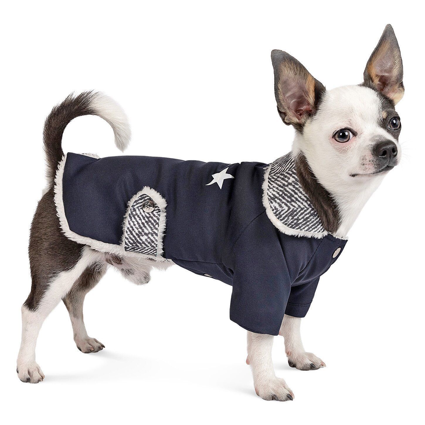 Жакет для собак Pet Fashion «Sirius» XS-2 XS2