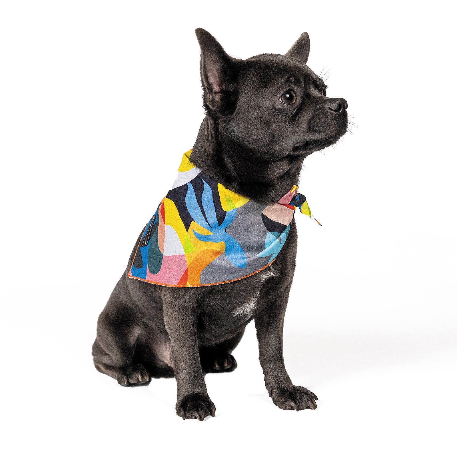 Бандана для собак Pet Fashion «WEEKEND» M-XL 42-48 см