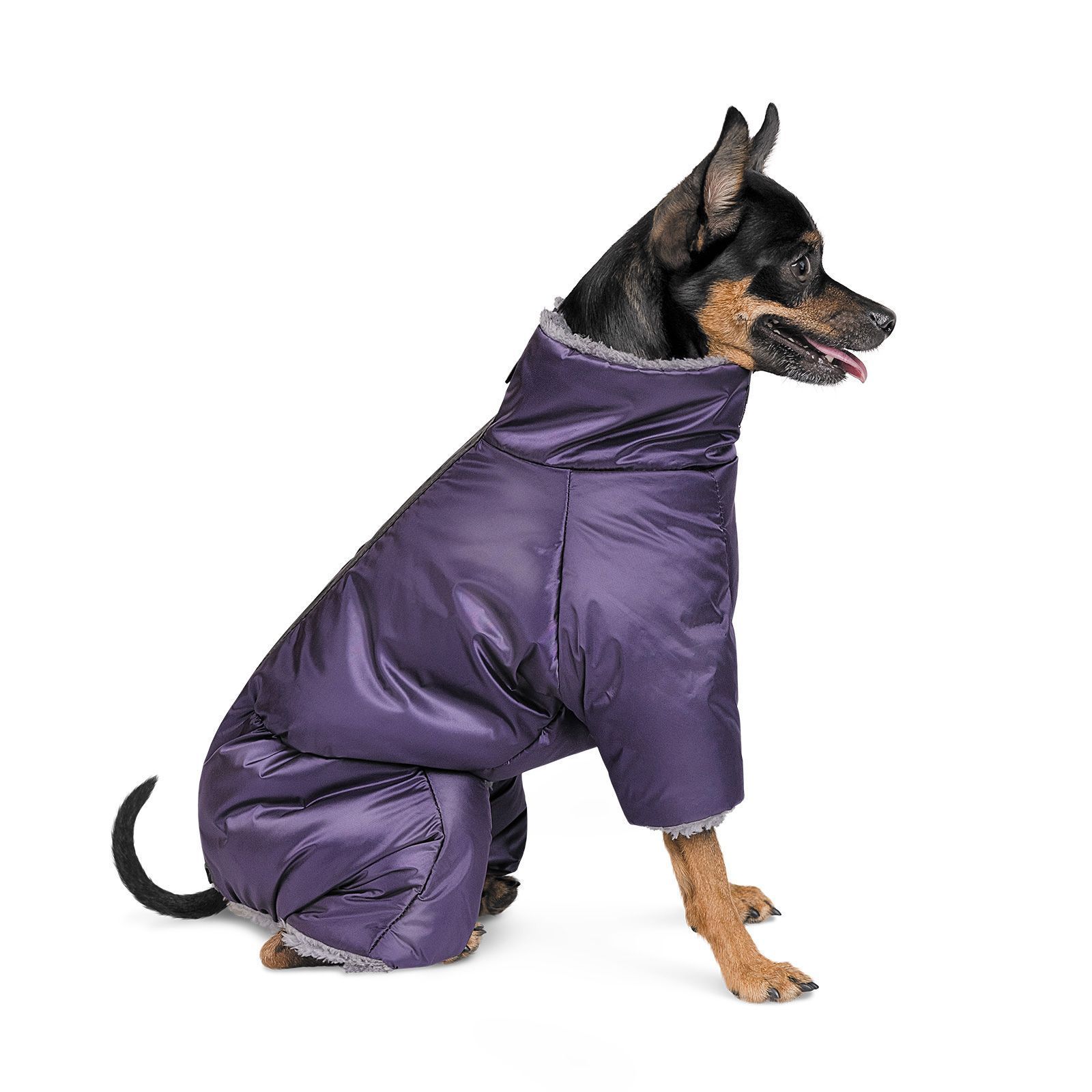 Комбінезон для собак Pet Fashion «Glory» XS-2 XS2