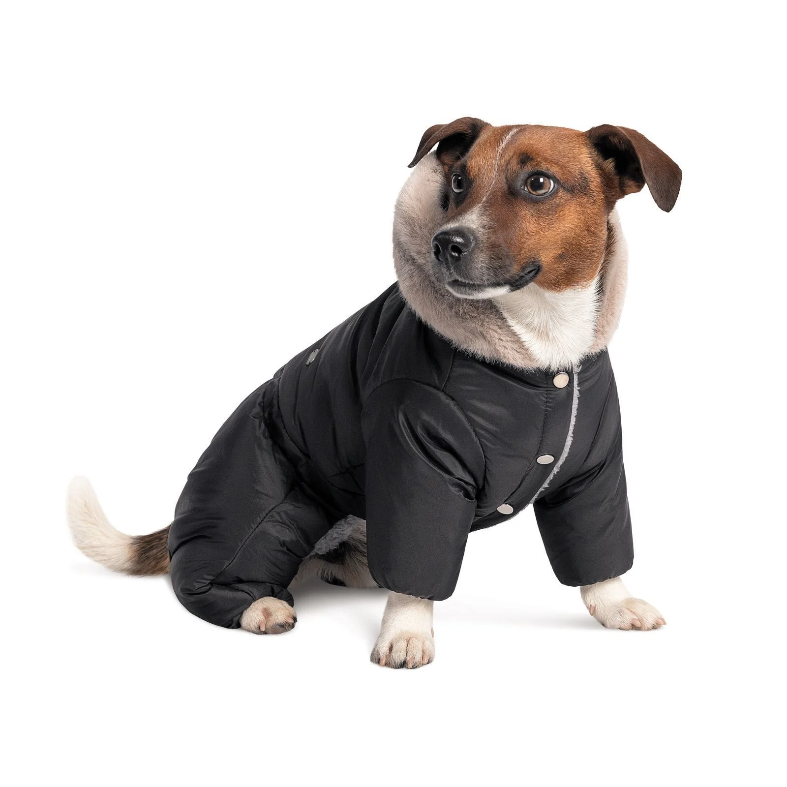 Костюм для собак Pet Fashion «BLACK» XS-2 XS2