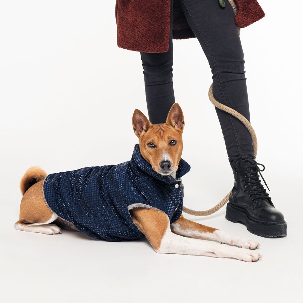 Pet Fashion Lucky жилет для собак S-2