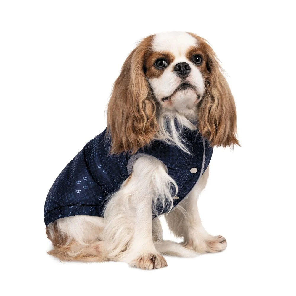 Жилет для собак Pet Fashion «LUCKY» S