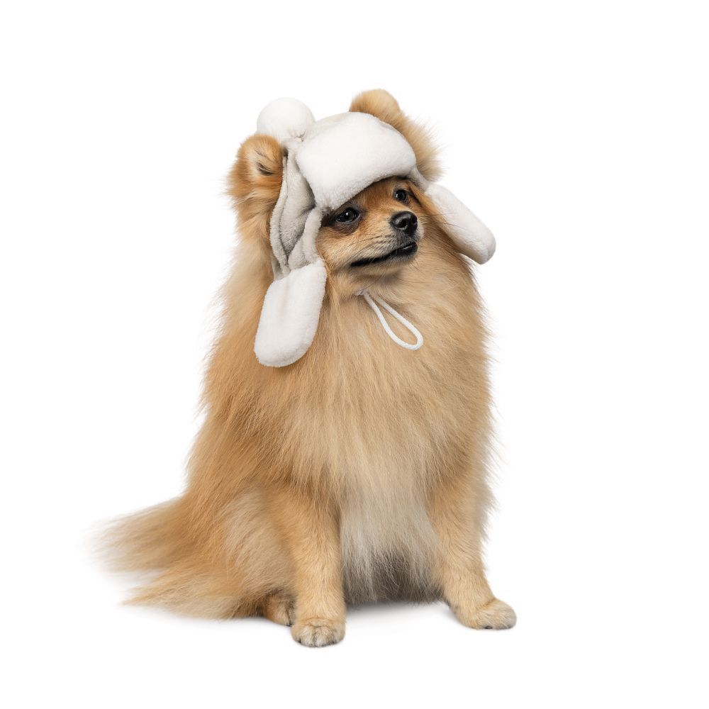 Шапка для собак Pet Fashion «Bubo» XS
