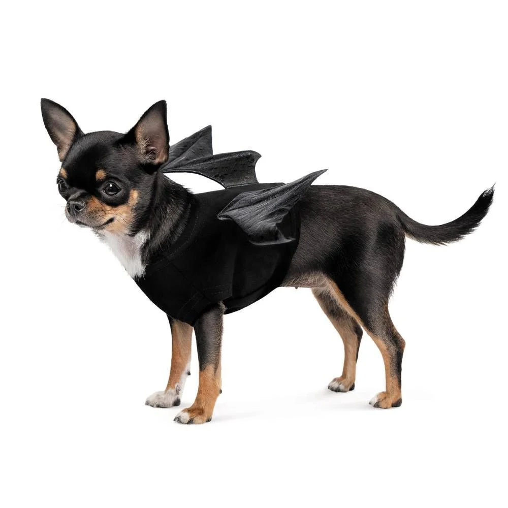 Крила для собак Pet Fashion Web S-M