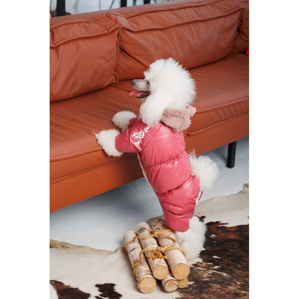 Комбінезон для собак Pet Fashion Cherry S