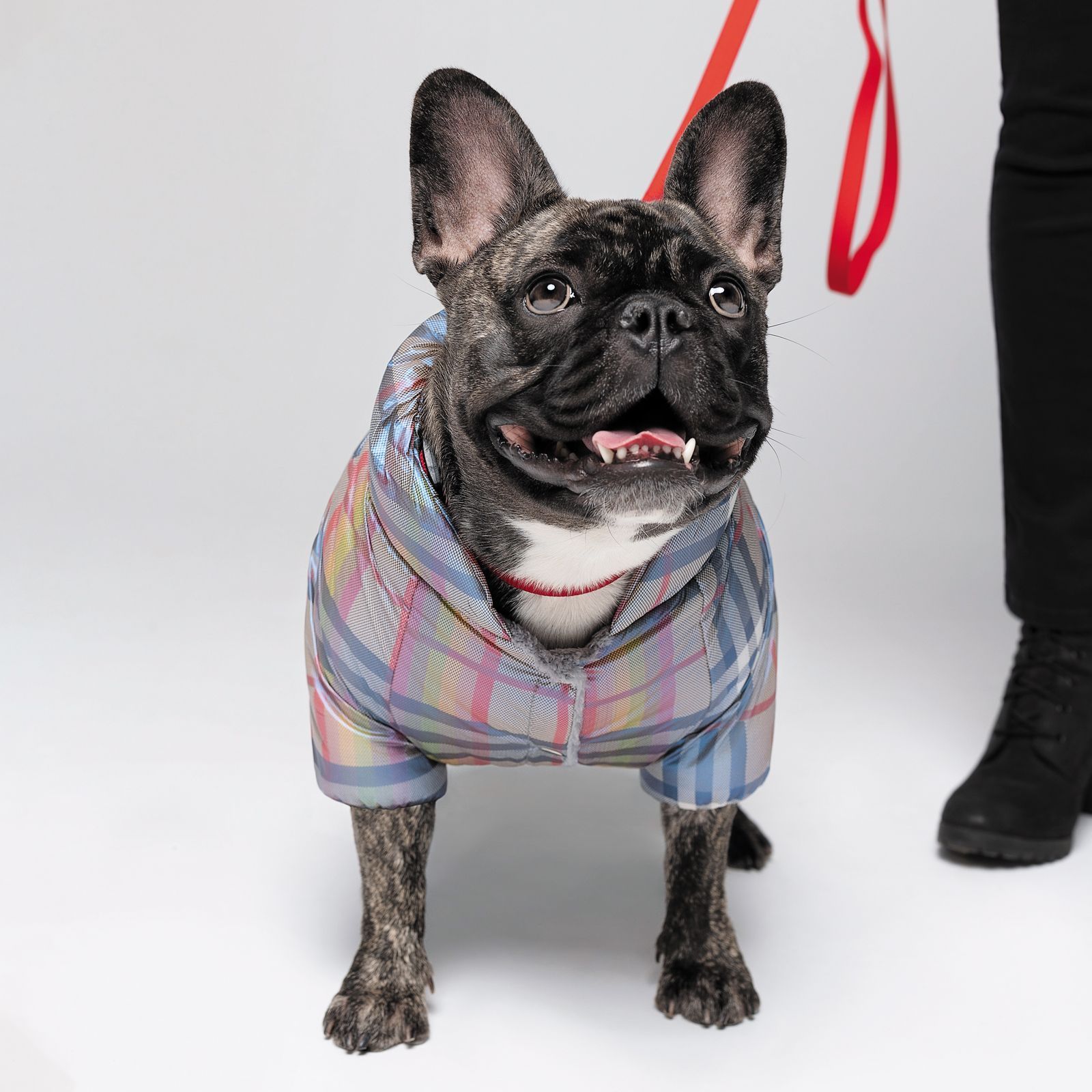 Комбінезон для собак Pet Fashion «INDIGO» M-2