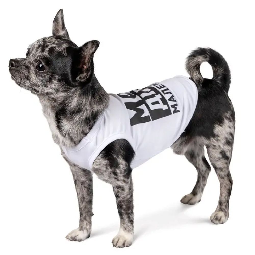 Борцівка для собак Pet Fashion «Моє діло маленьке» M