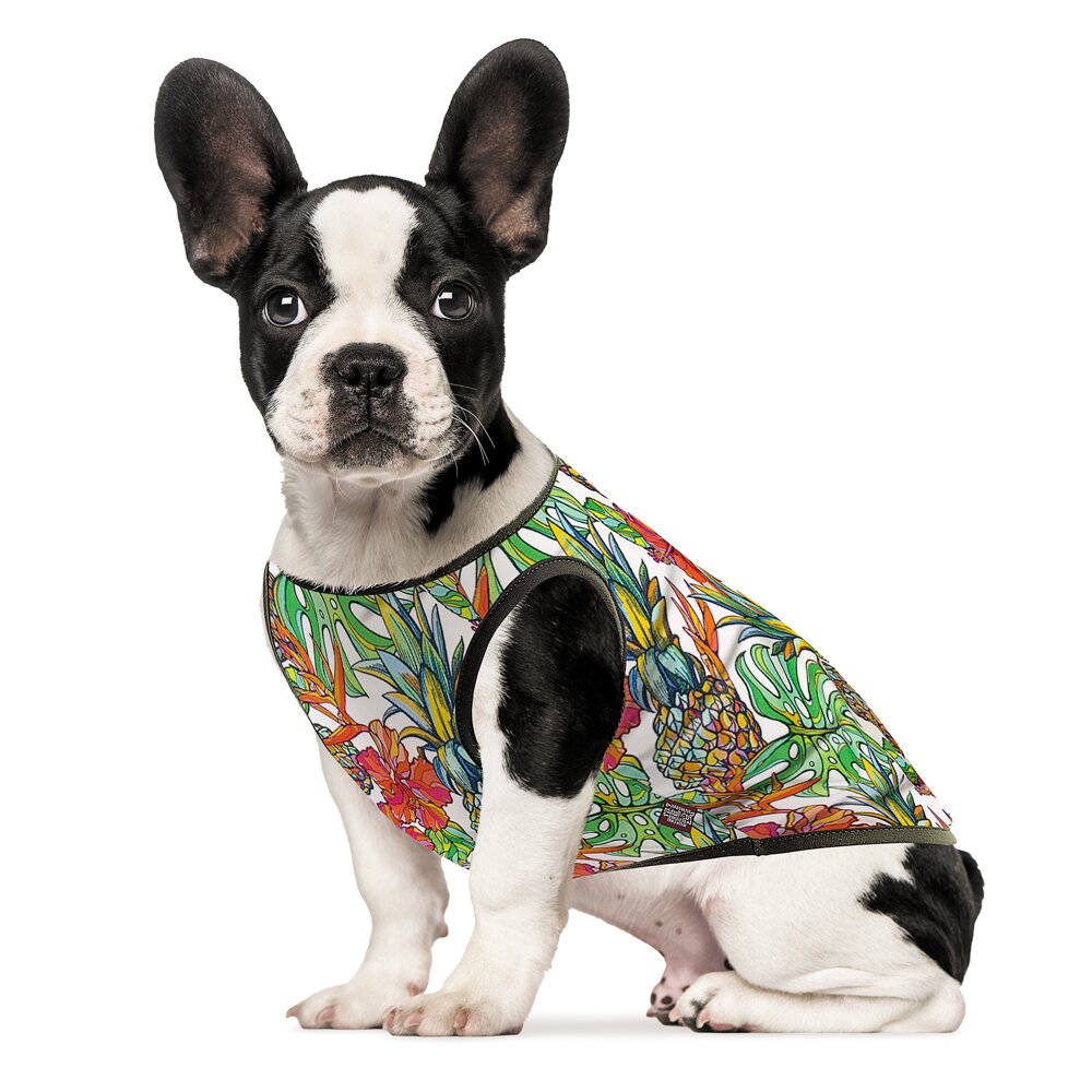Борцівка для собак Pet Fashion «Ріо» XS-2 XS2