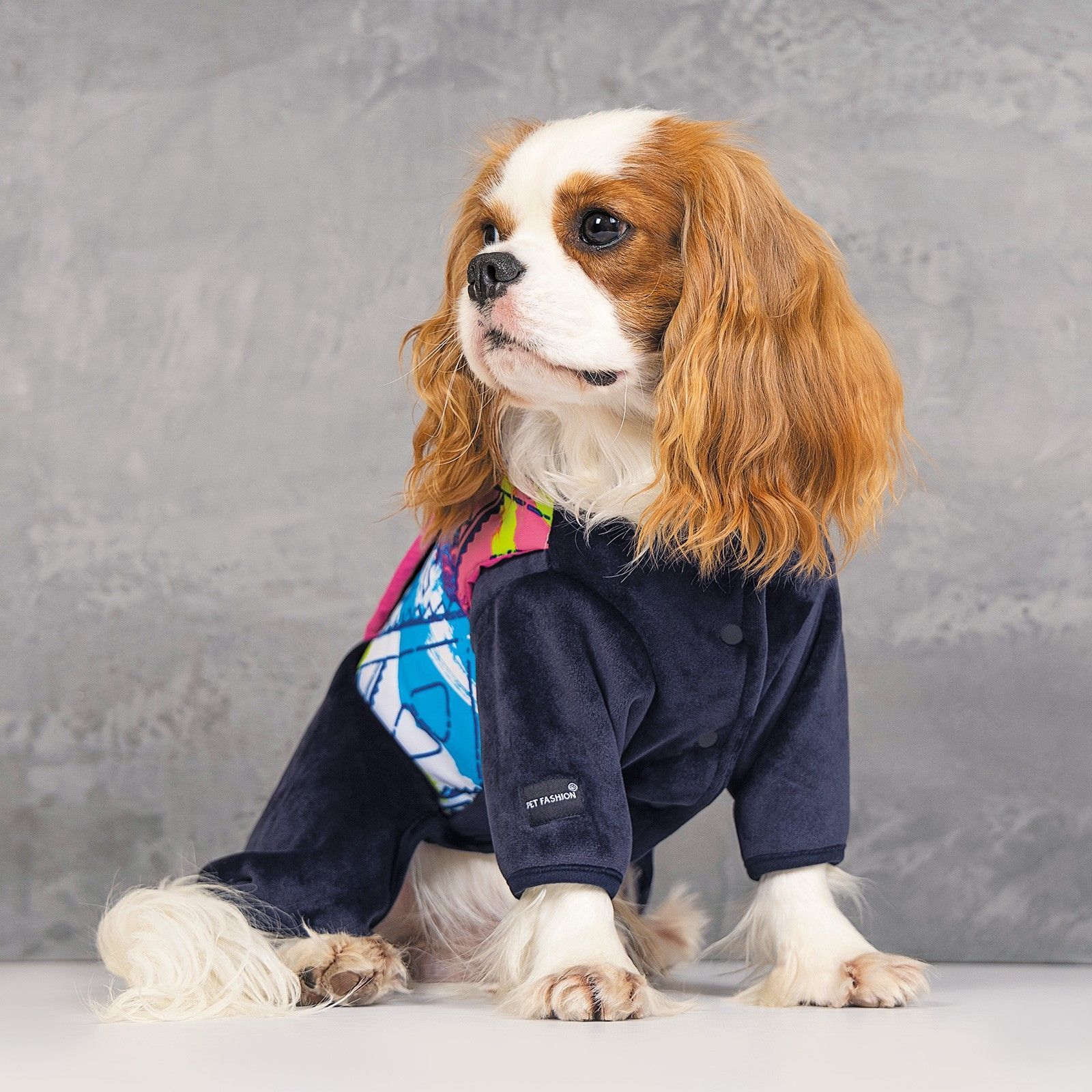 Комбінезон для собак Pet Fashion «Enigma» L