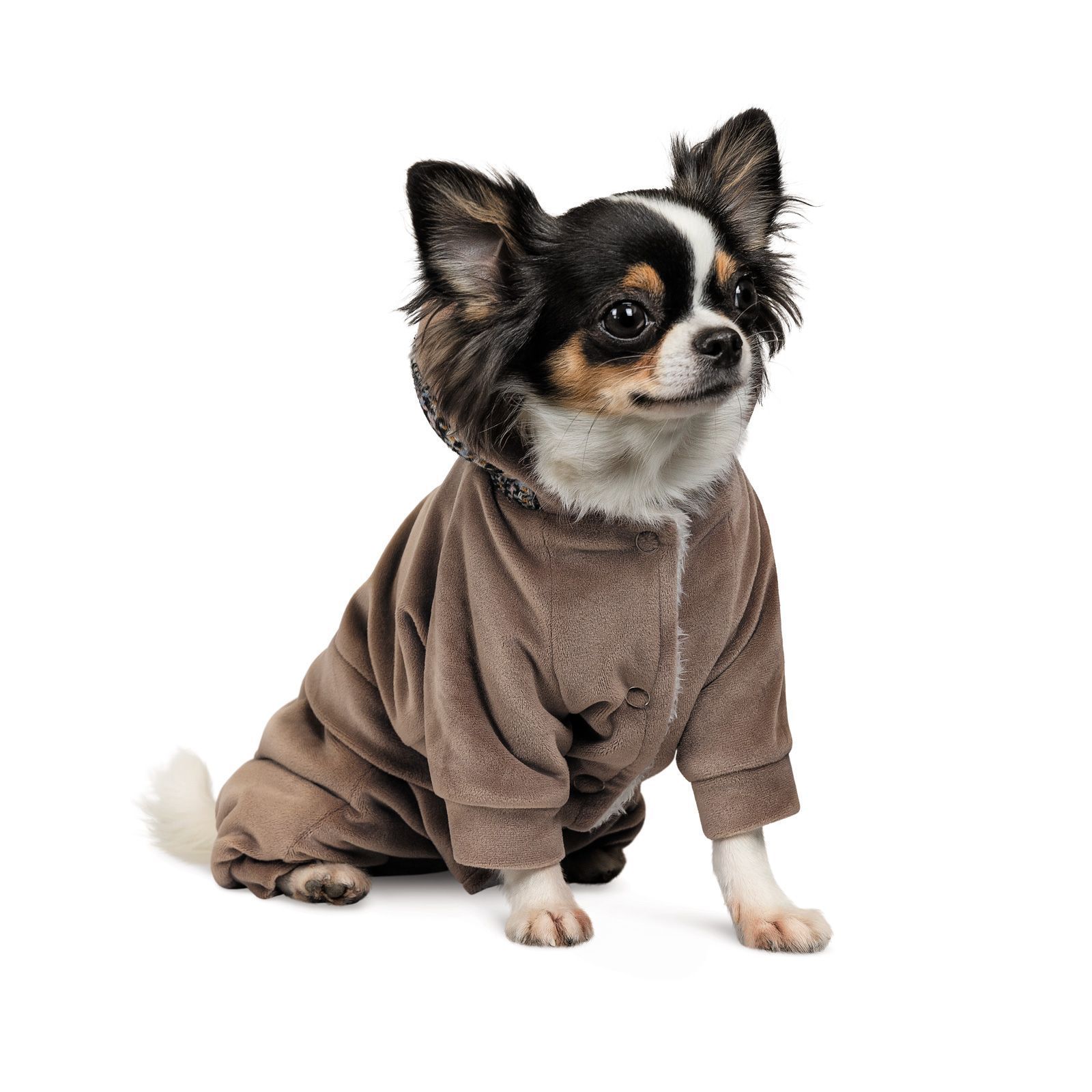 Костюм для собак Pet Fashion «Soft» L