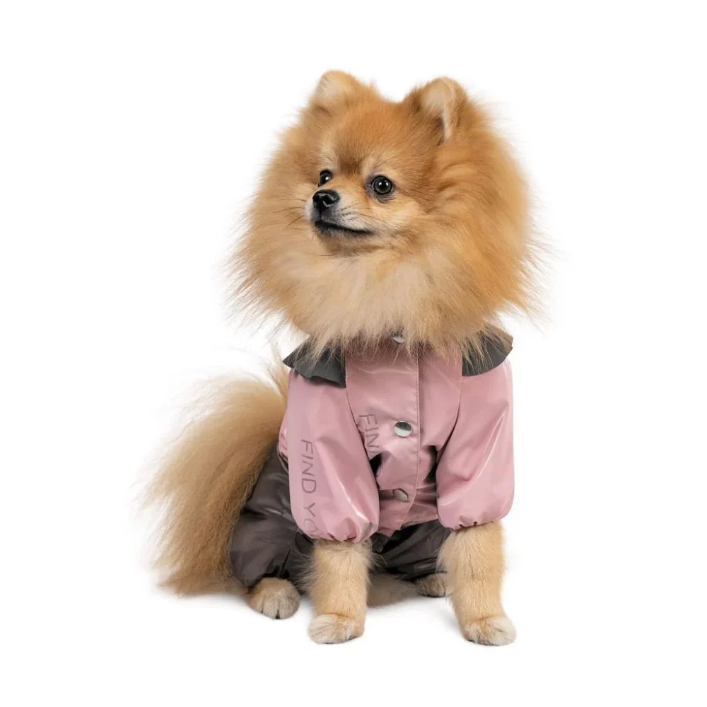Pet Fashion Ariel дощовик для собак XS-2 XS2