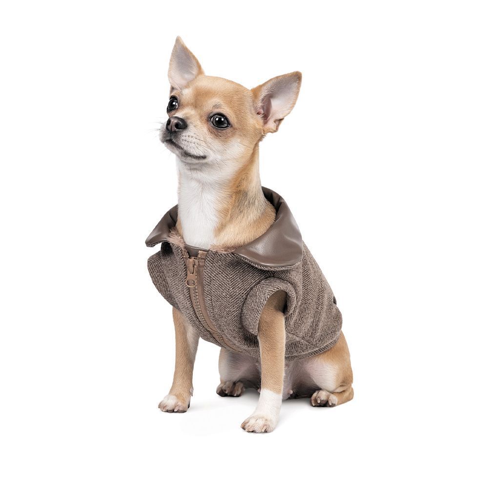Жакет для собак Pet Fashion «Harry» М M