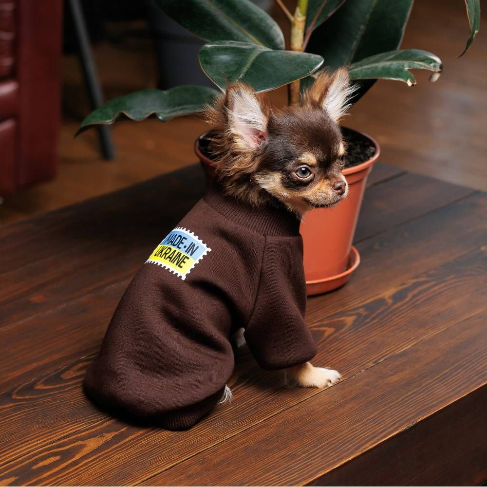 Pet Fashion Made in Ukraine товстівка для собак S