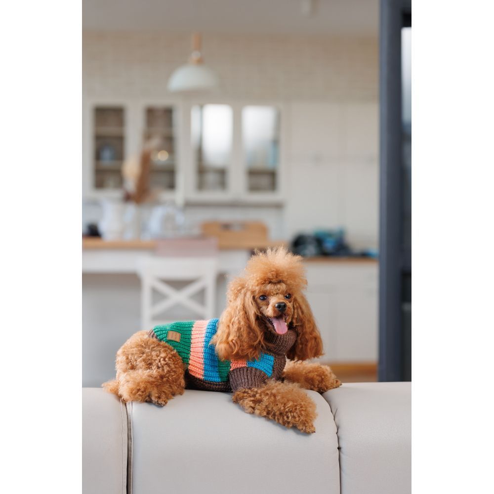 Светр для собак Pet Fashion Happy XS-2 XS2