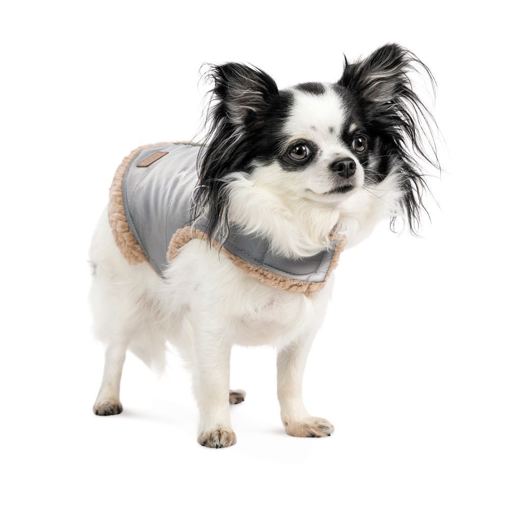 Шлея для собак Pet Fashion Rob S