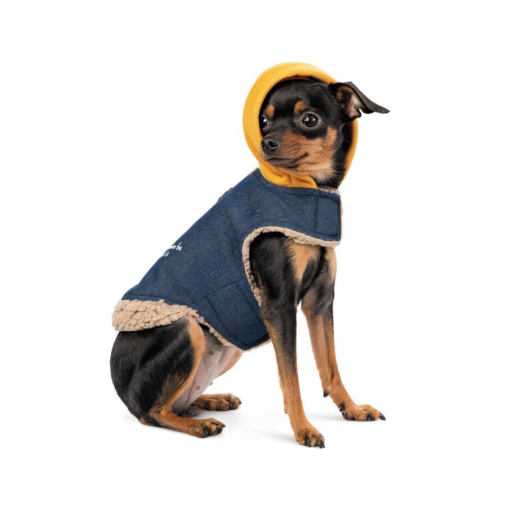 Шлея для собак Pet Fashion Poppy S