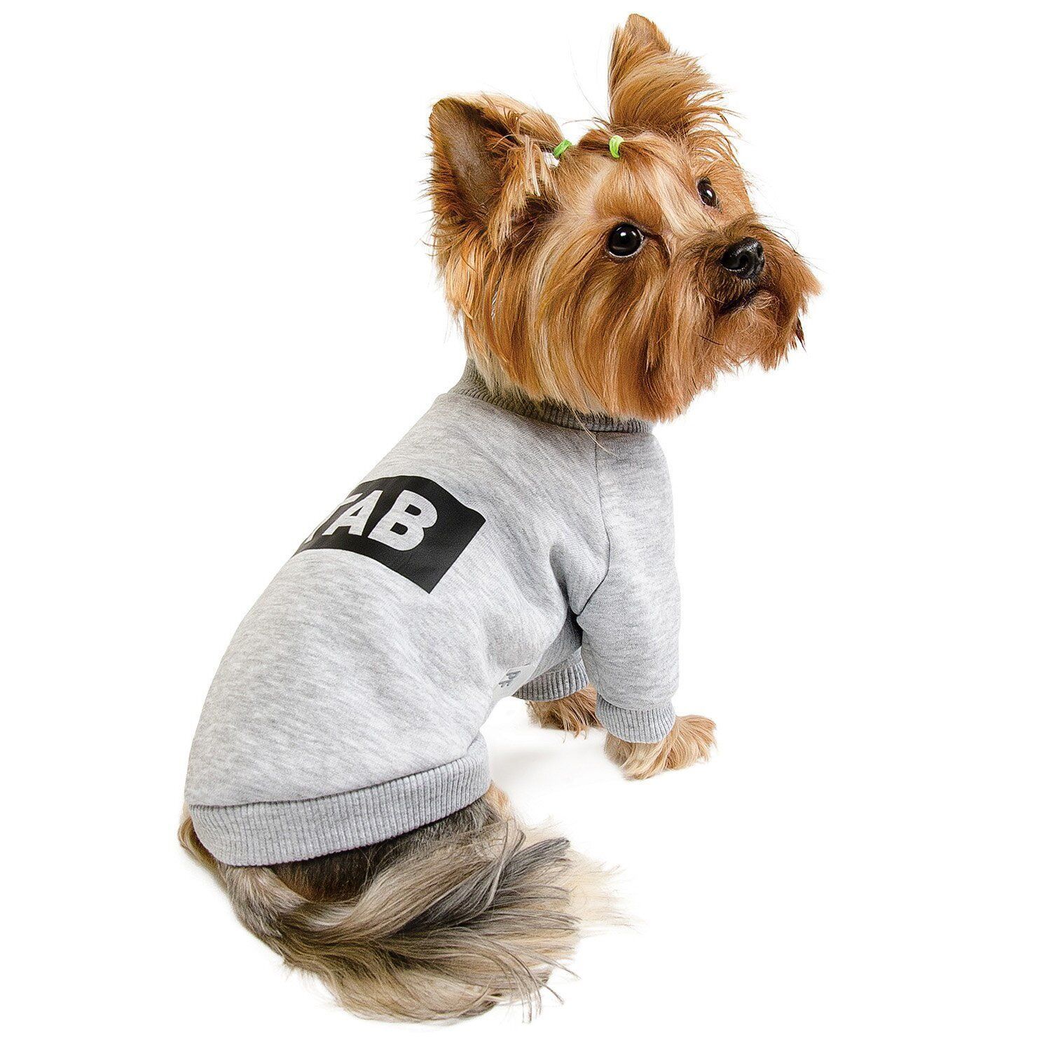 Товстівка для собак Pet Fashion «#Гав» XS-2 XS2