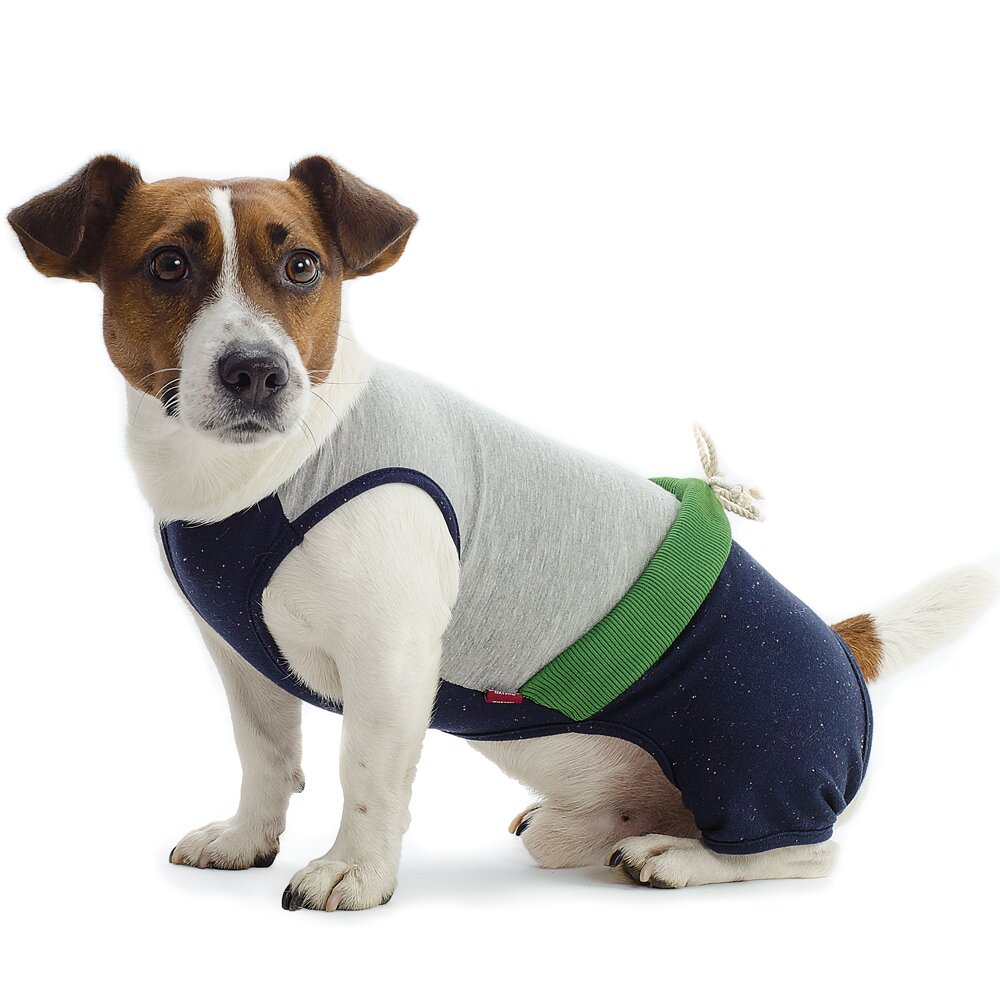 Костюм для собак Pet Fashion «Фітнес» XS-2 (авокадо) XS2