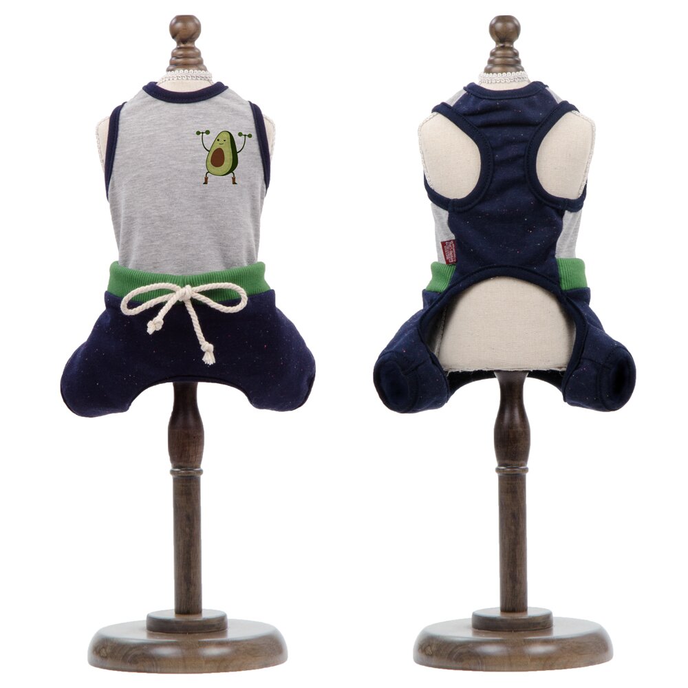 Костюм для собак Pet Fashion «Фітнес» XS-2 (авокадо) XS2