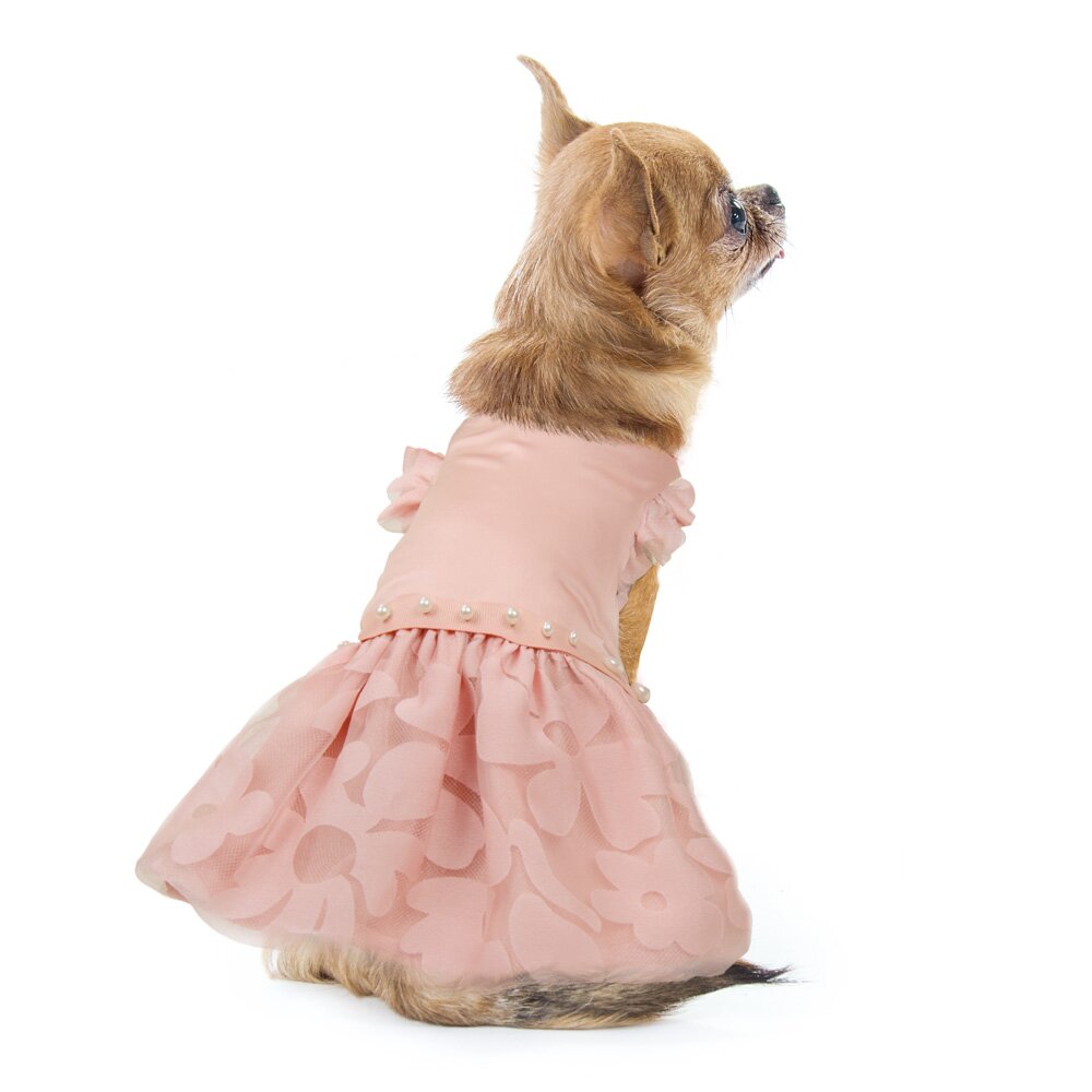 Сукня для собак Pet Fashion «Азалія» S