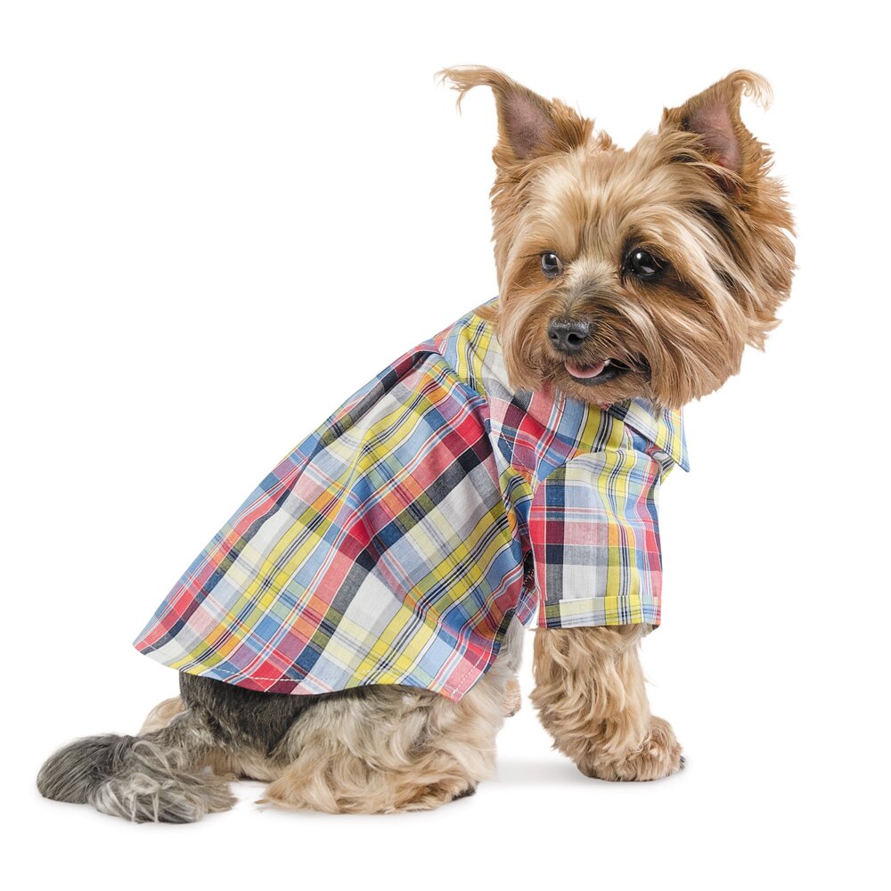 Сорочка для собак Pet Fashion «Бадді» XS
