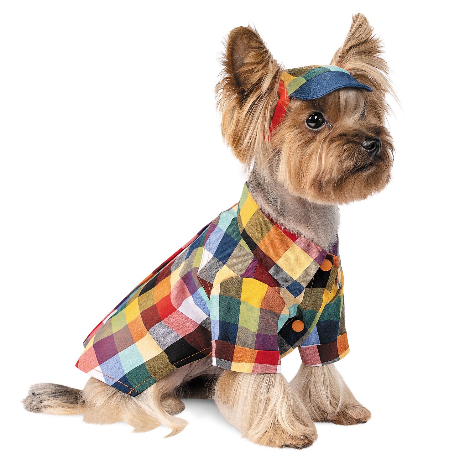 Кепка для собак Pet Fashion «Літня» S