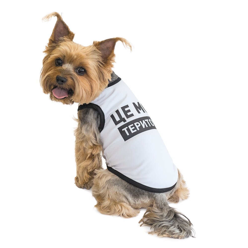 Борцівка для собак Pet Fashion «Це моя територія» S