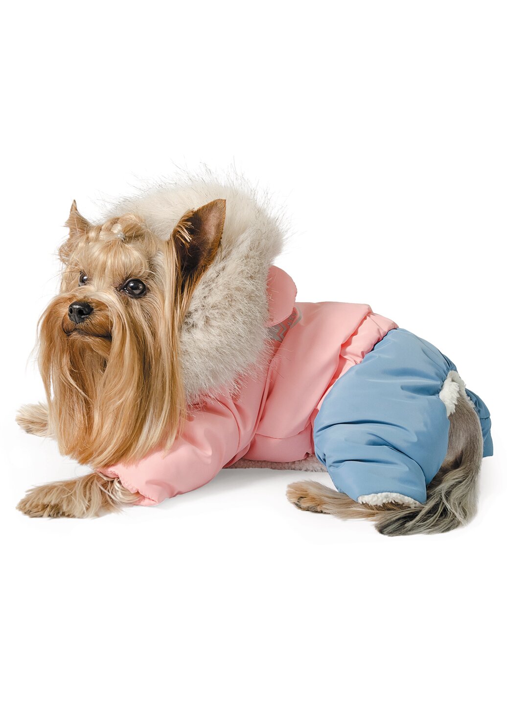 Костюм для собак Pet Fashion «Джуді» XXS