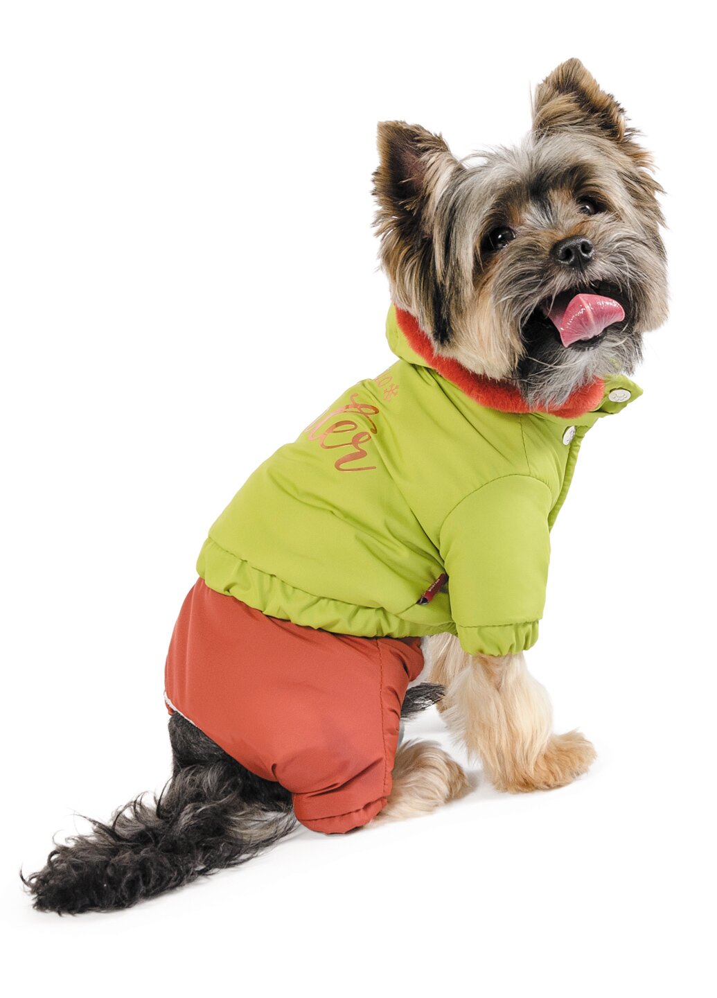 Костюм для собак Pet Fashion «Барні» XS (зелений)