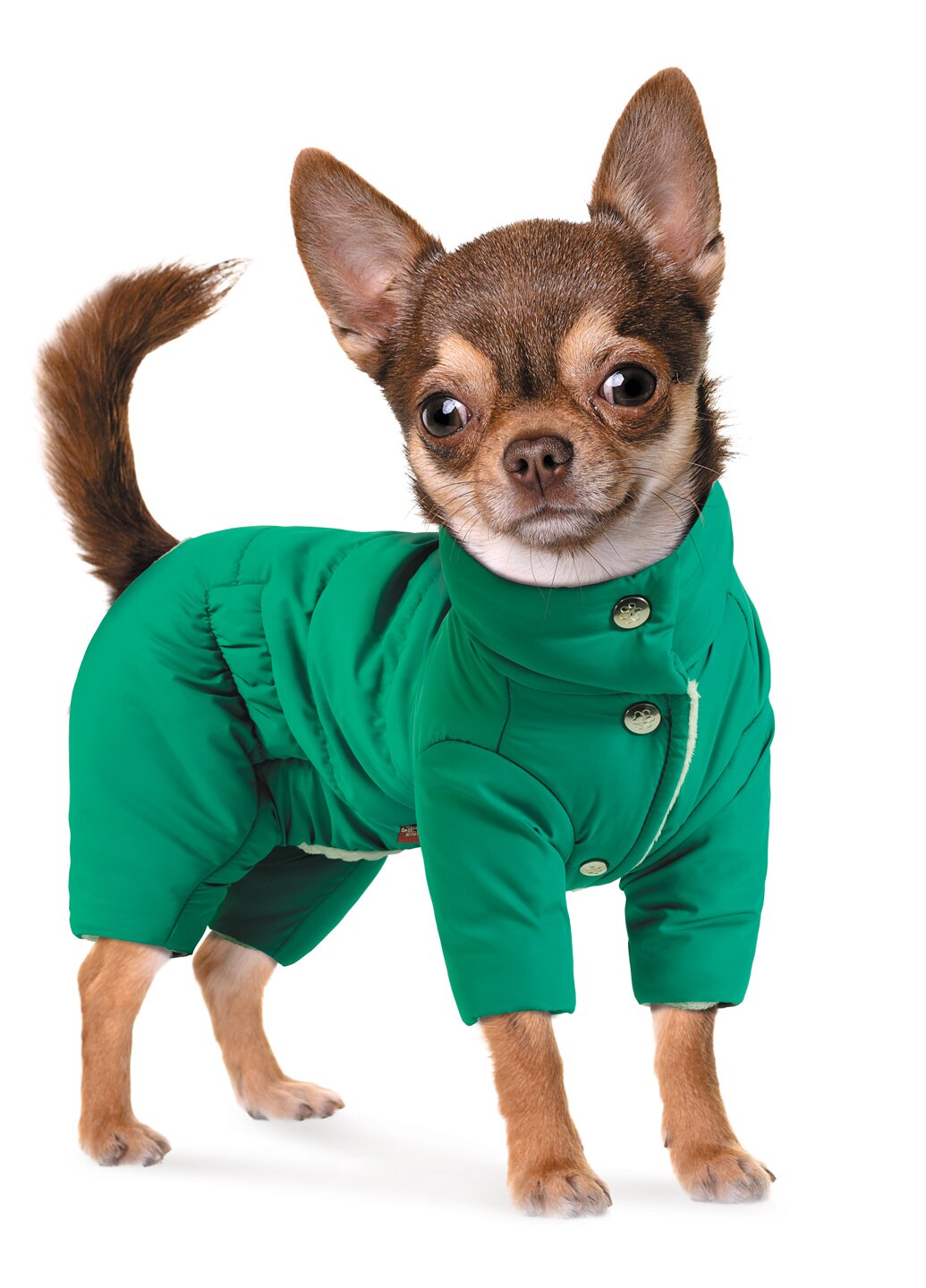 Комбінезон для собак Pet Fashion «Цитрус» S