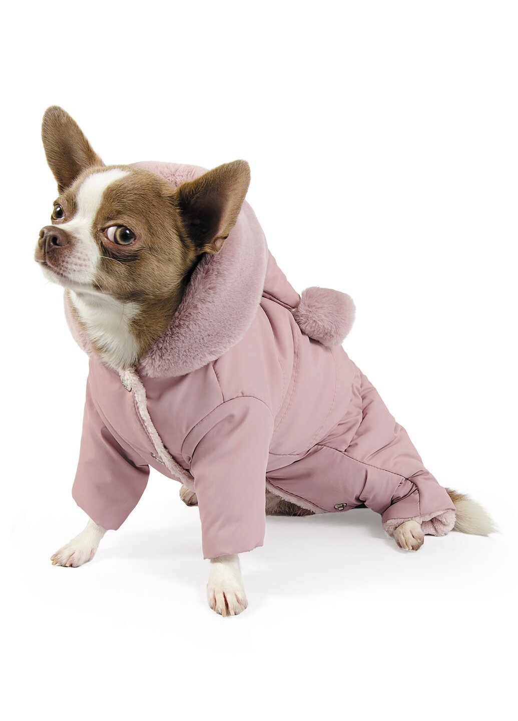 Костюм для собак Pet Fashion «Лола» S