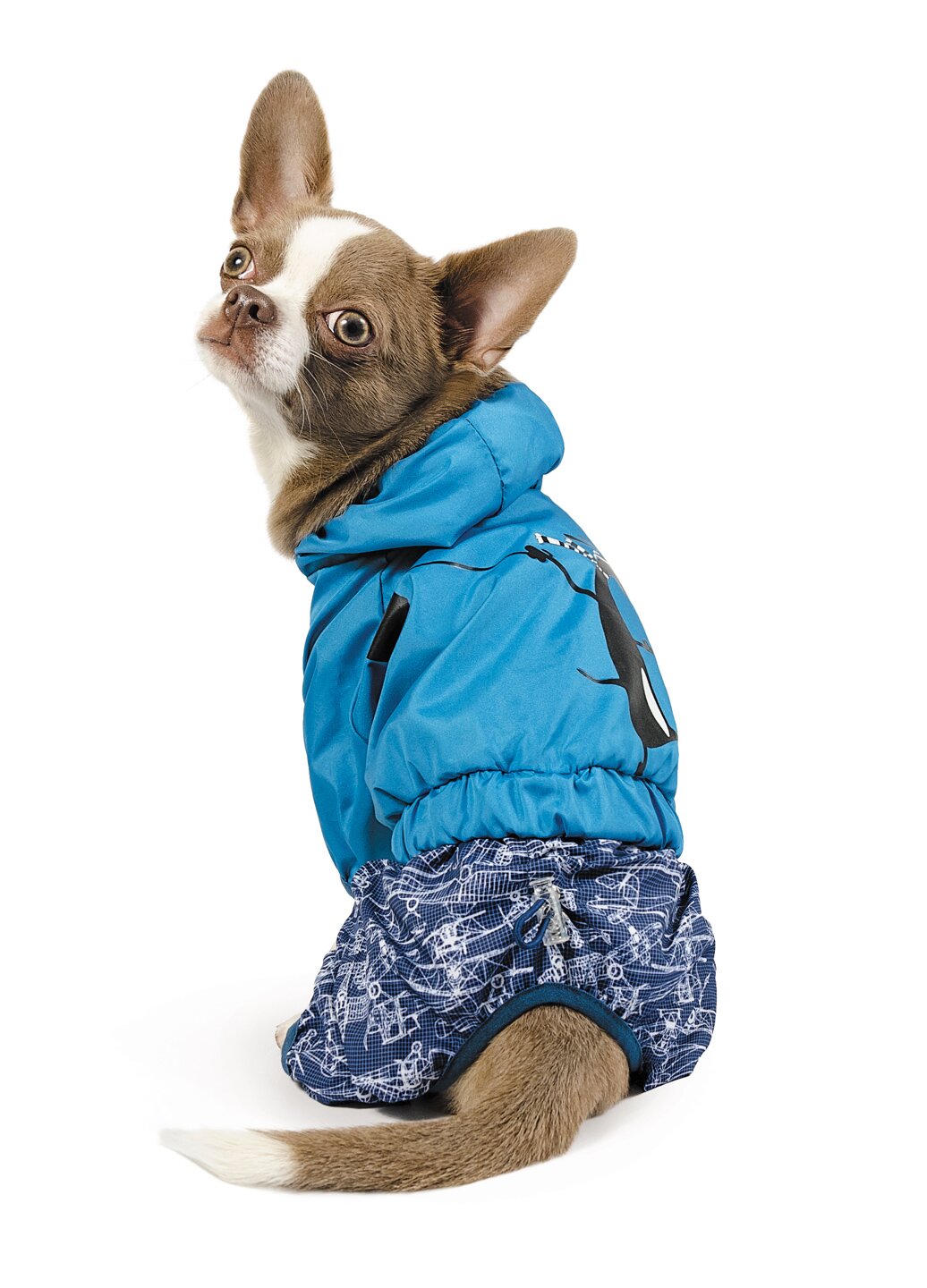 Дощовик для собак Pet Fashion «Клайд» XS-2 (блакитний) XS2