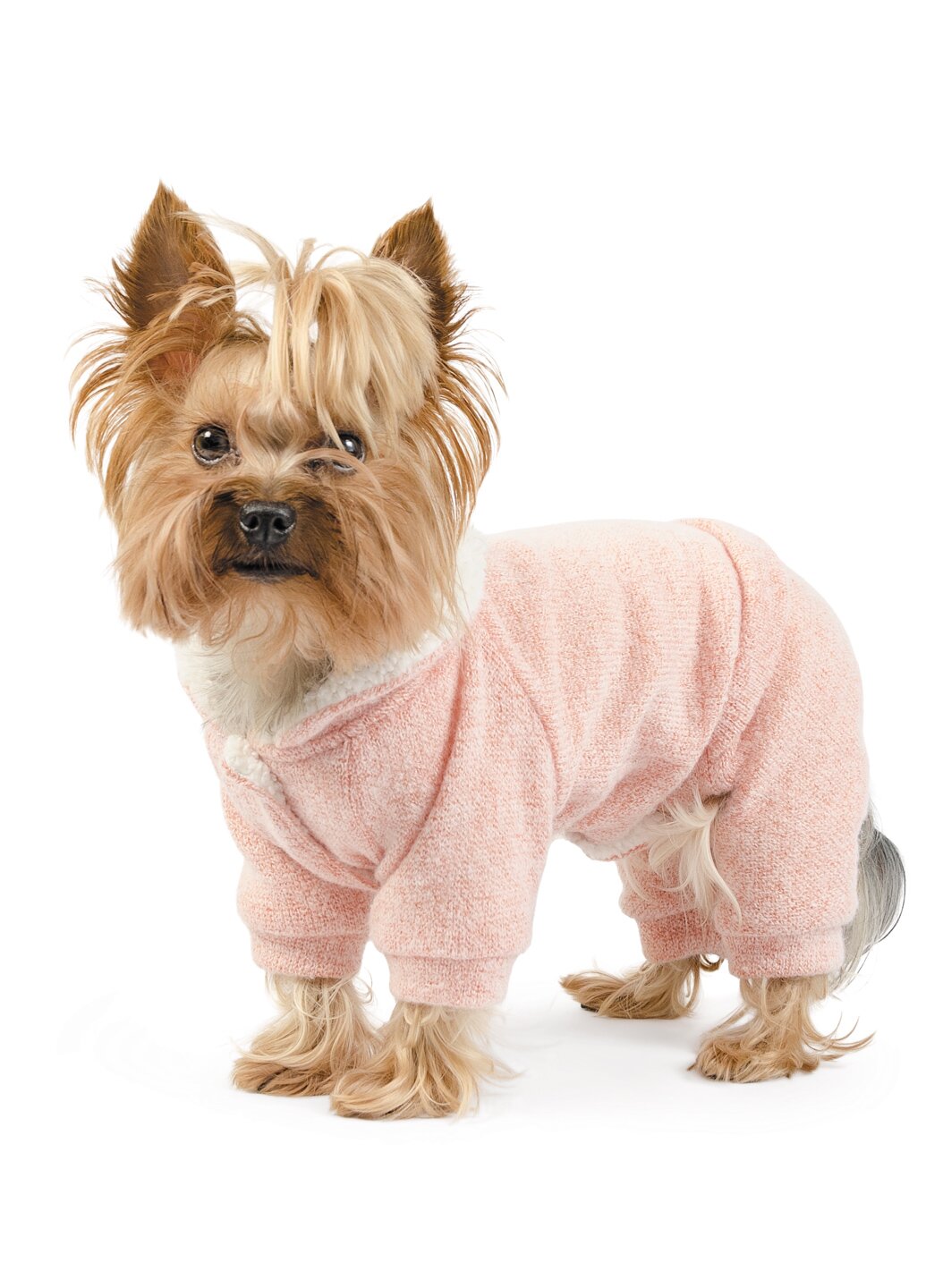Костюм для собак Pet Fashion «Соллі» XS (бежевий)