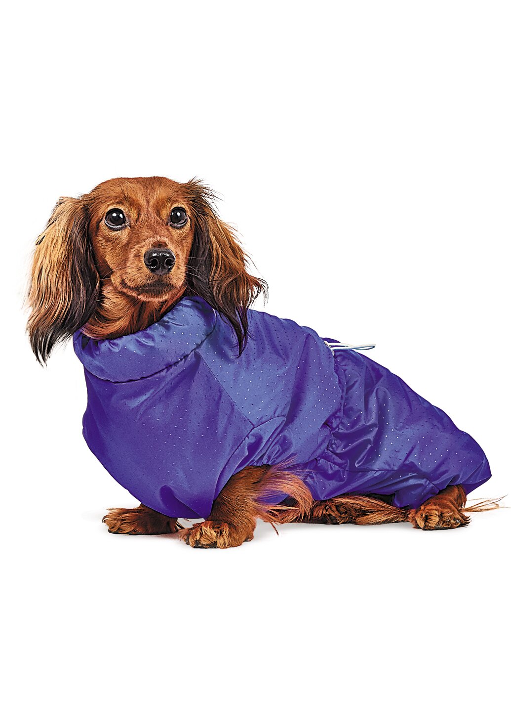 Комбінезон для собак Pet Fashion «Такса» XS (фіолетовий)