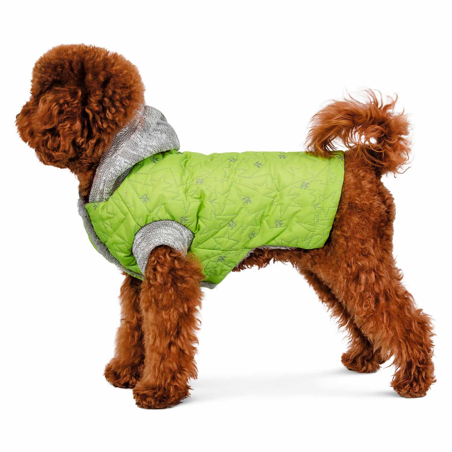 Жилет для собак Pet Fashion «Комета» M