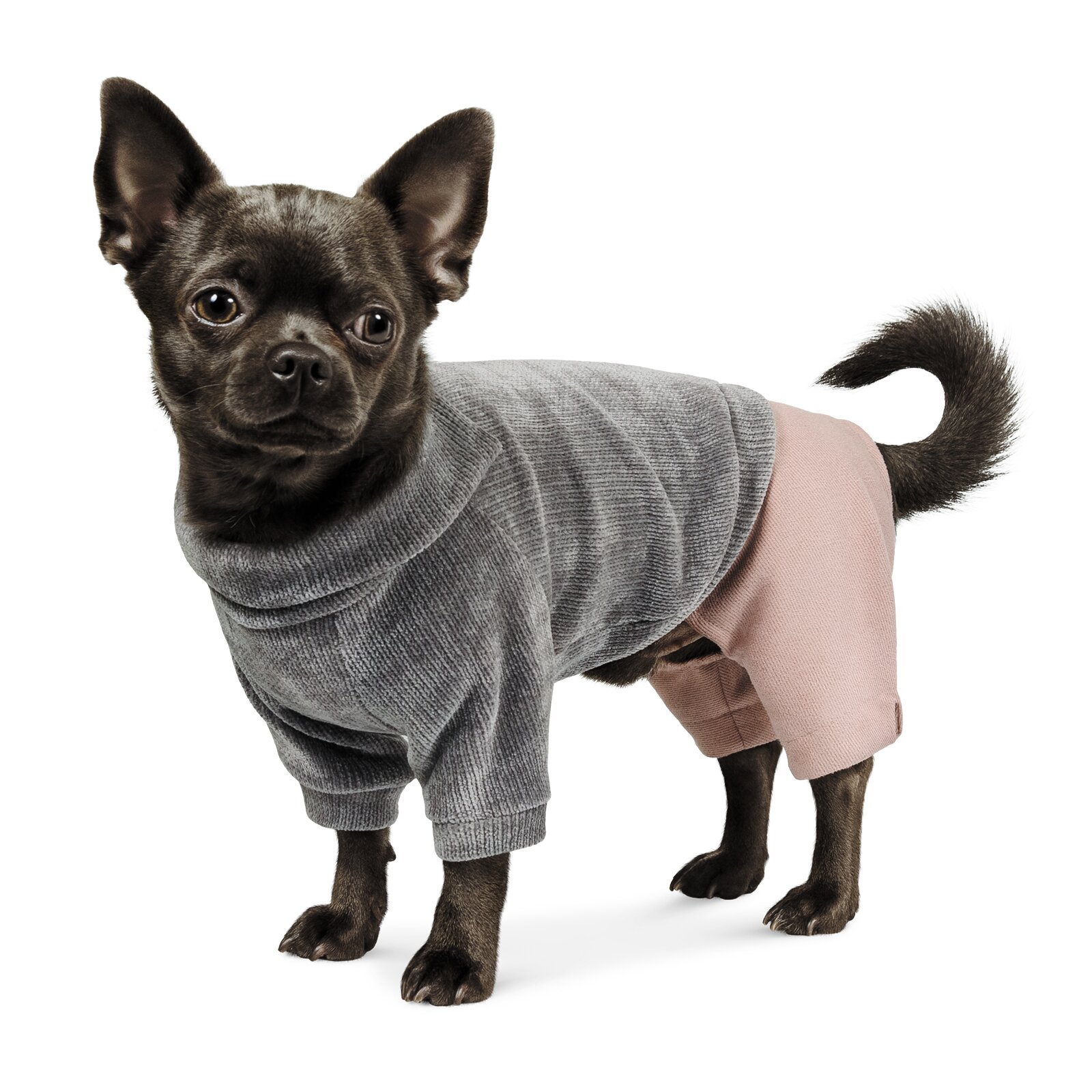 Костюм для собак Pet Fashion «Пунш» XS
