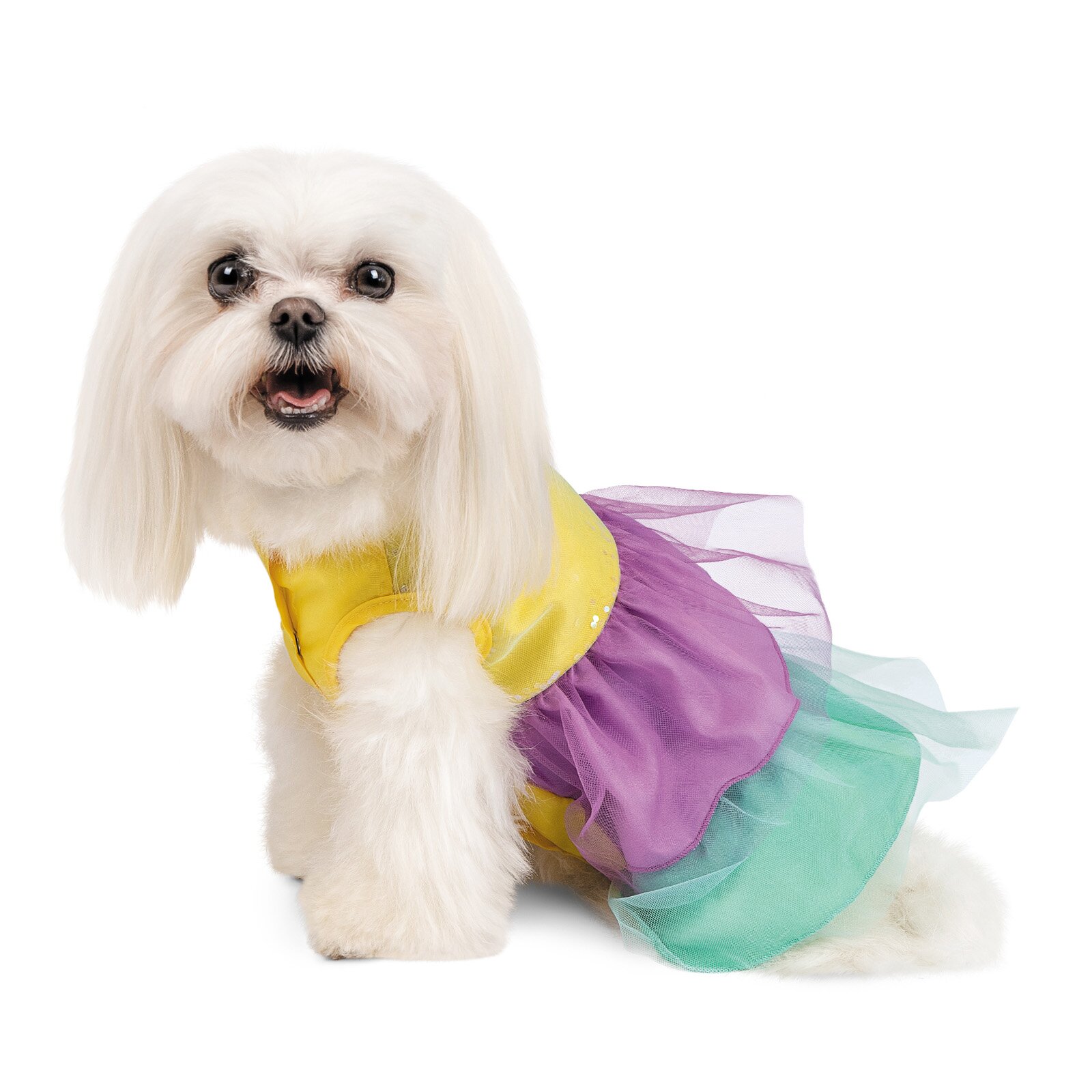 Сукня для собак Pet Fashion «Ліра» XXS