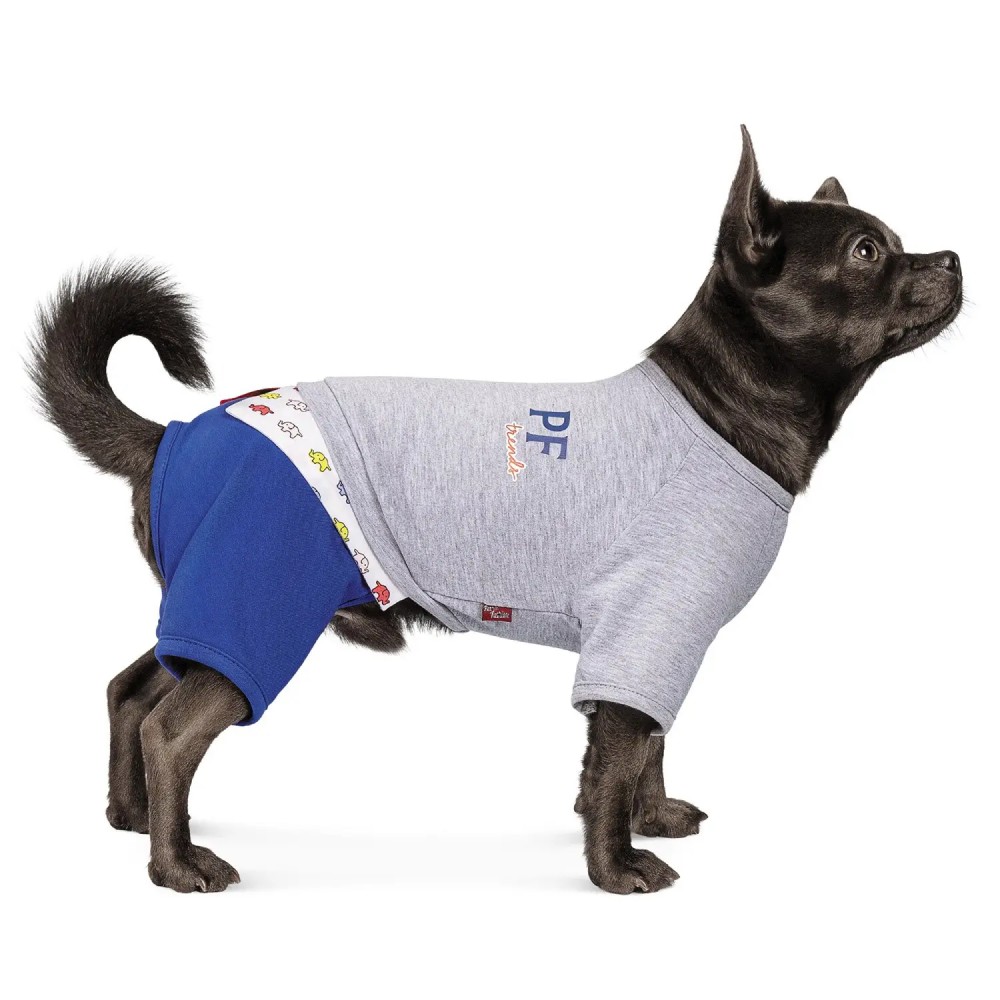 Костюм для собак Pet Fashion «Оріон» XS