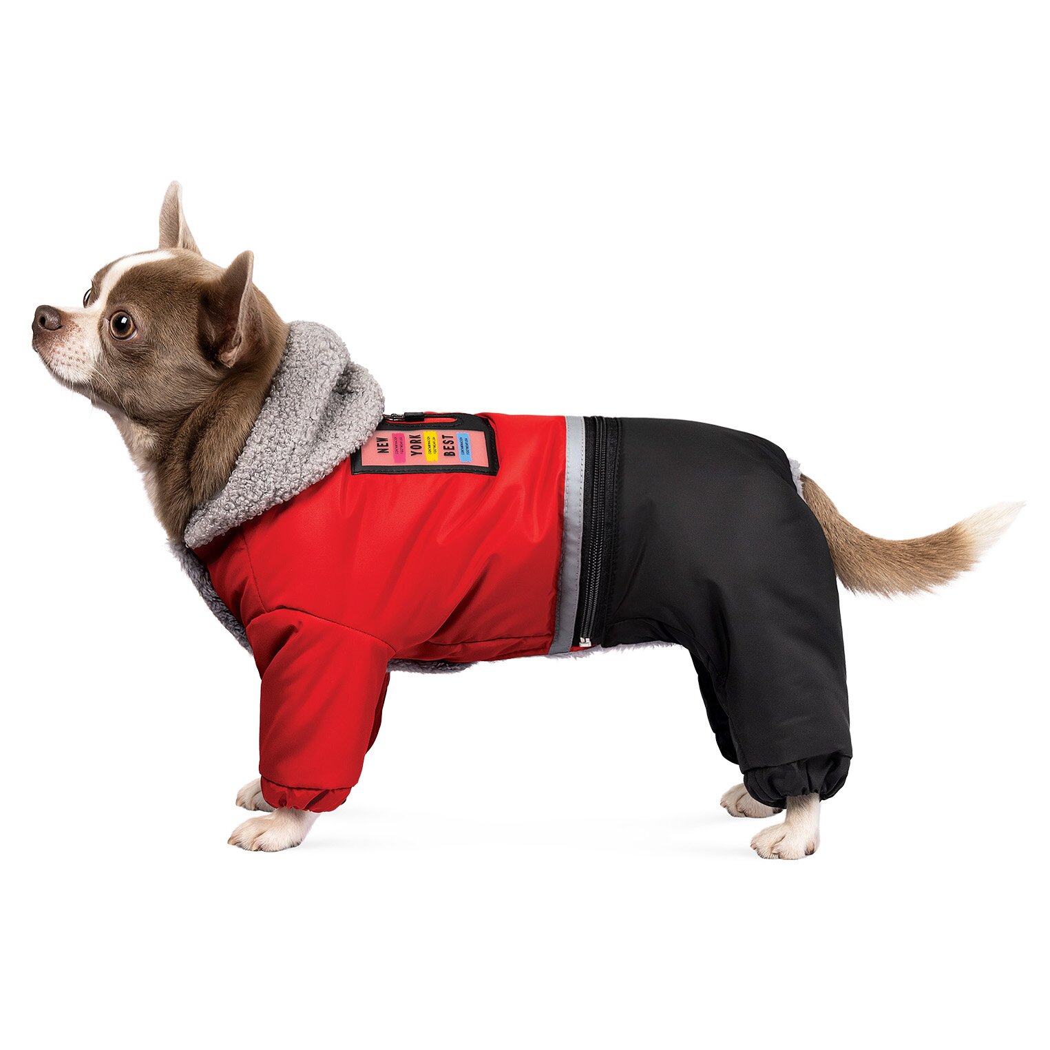 Костюм для собак Pet Fashion «Dragon» XXS