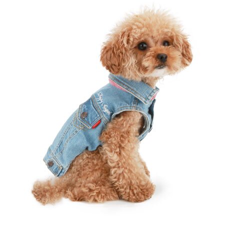 Джинсовий жилет для собак Puppy Angel «Ohkio» M