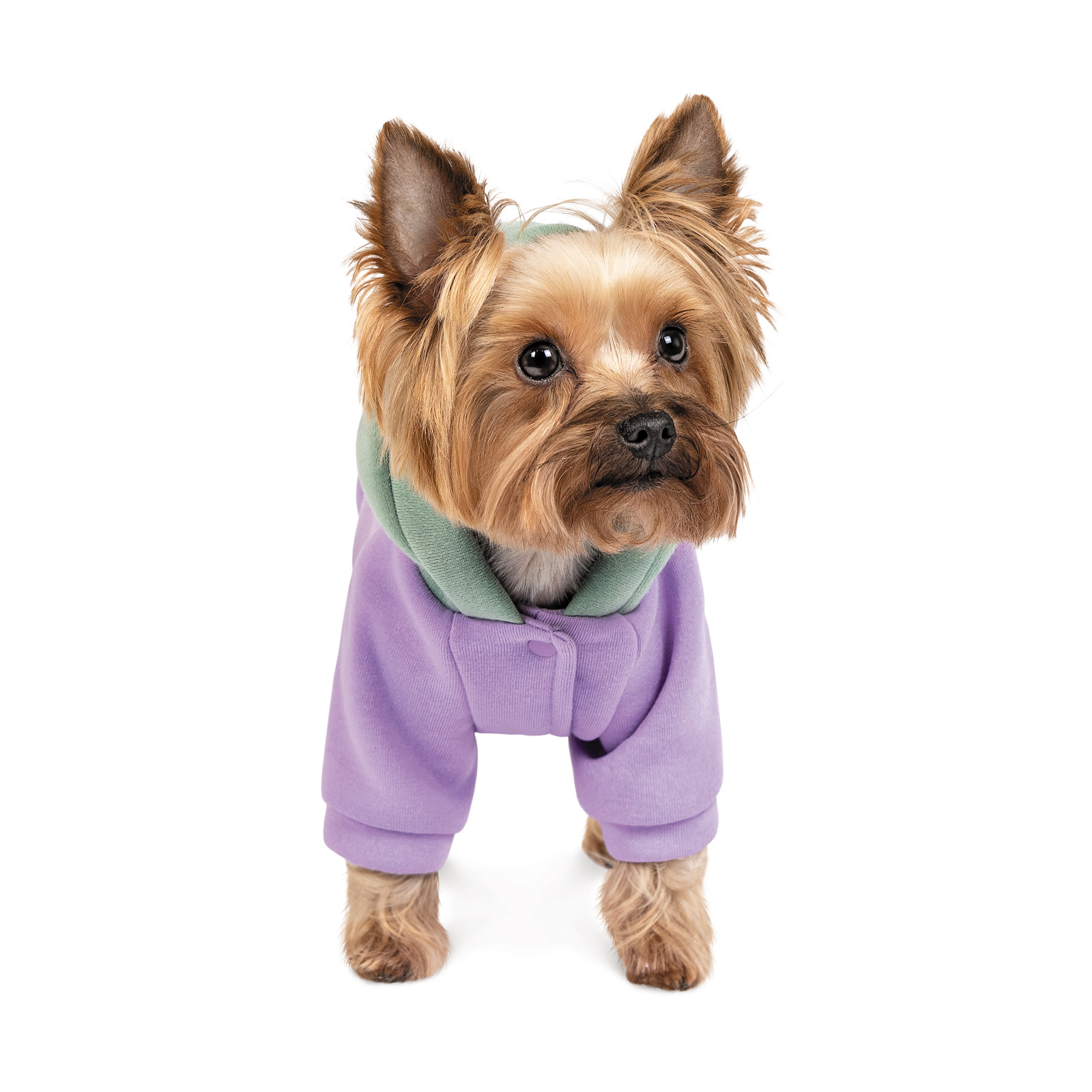 Товстівка для собак Pet Fashion «Be Different» XS