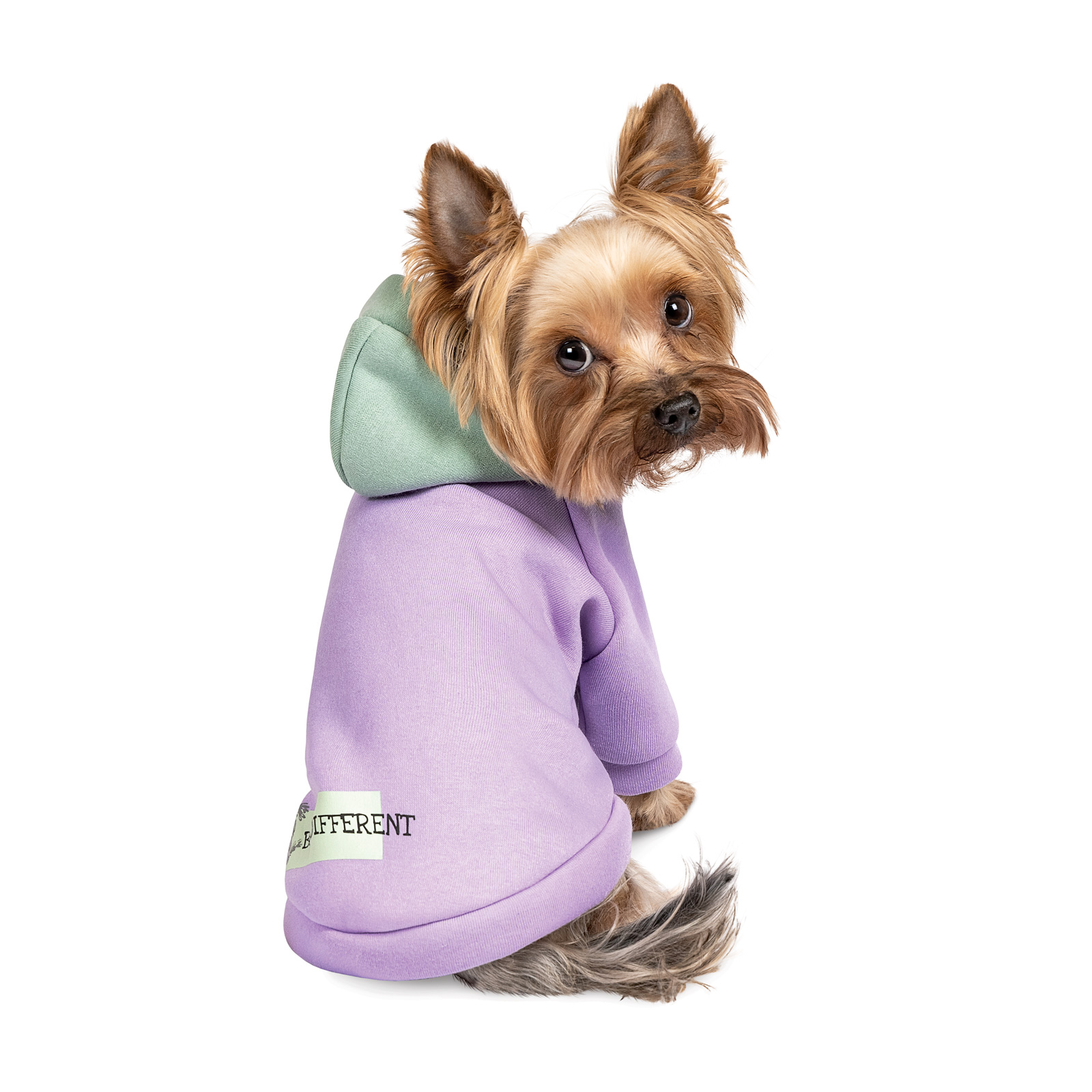 Товстівка для собак Pet Fashion «Be Different» XS-2 XS2