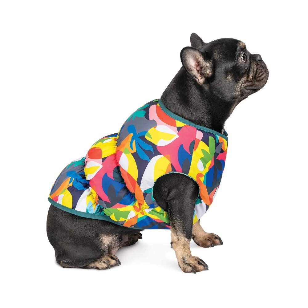 Жилет для собак Pet Fashion «Spring» принт S