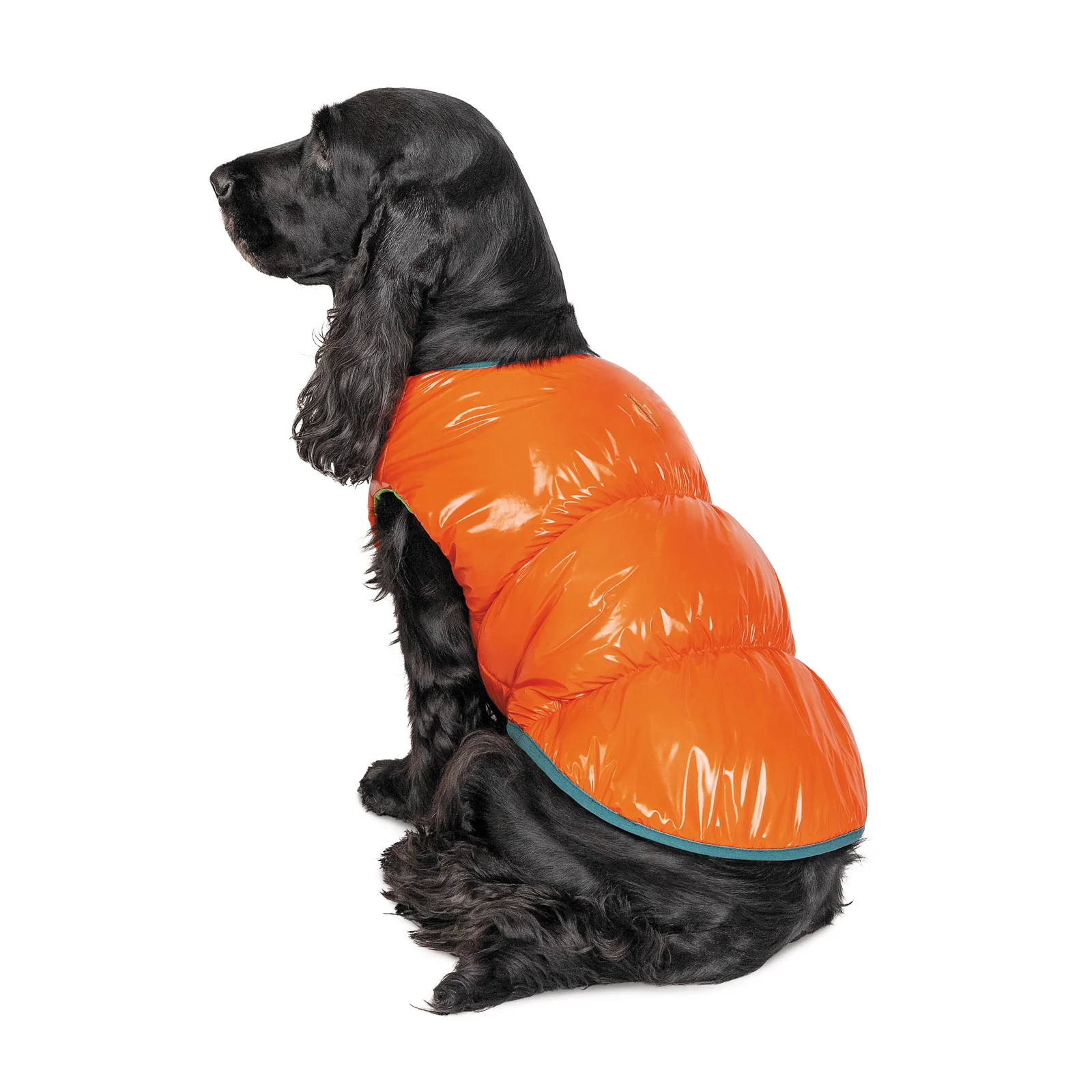 Pet Fashion Spring жилет для собак М M
