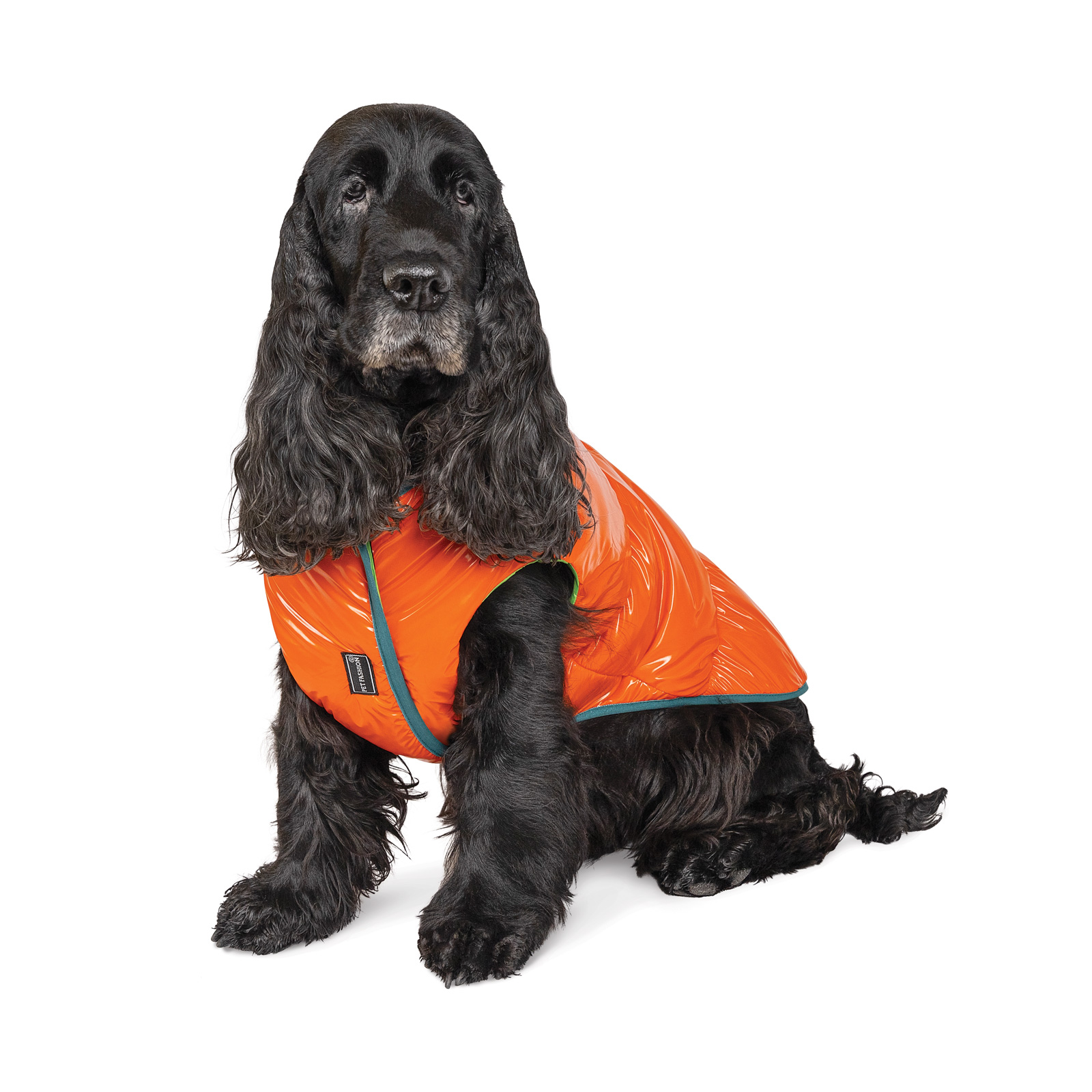 Pet Fashion Spring жилет для собак М M