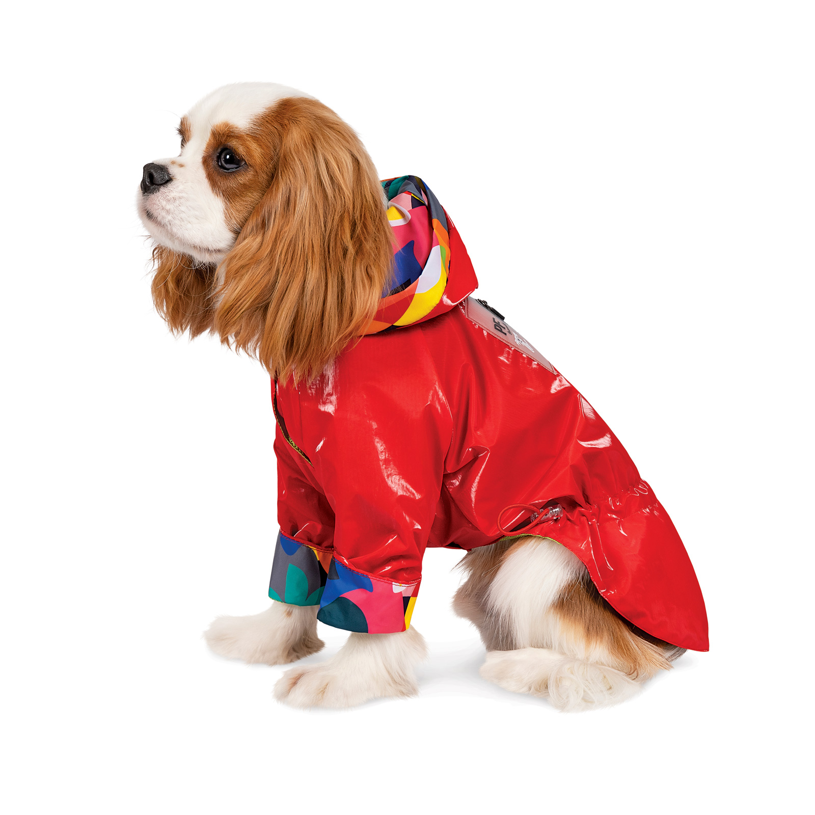 Вітрівка для собак Pet Fashion «Air» XS
